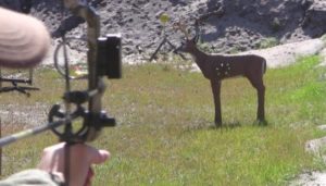 Thistle deer target